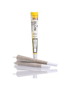 Joint Einzeln Sour Widow Gelb Light