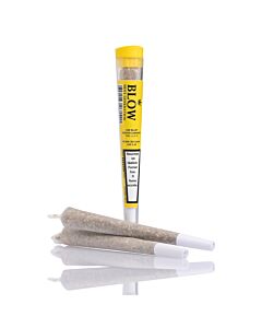 Joint Einzeln Sour Widow Gelb Next Generation