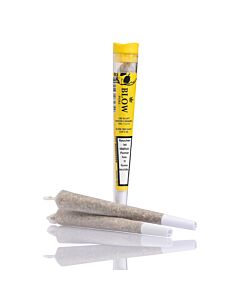 Joint Einzeln Sour Widow Gelb Pure