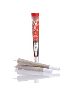 Joint Einzeln Cheese Rot Pure