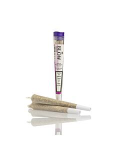 Joint Einzeln Limoncello Violett Light