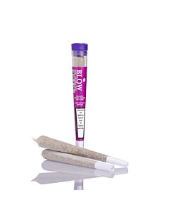 Joint Einzeln Limoncello Violett Next Generation