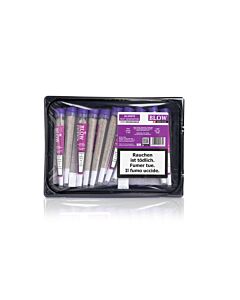 Joint 20er Schale Limoncello Violett Next Generation