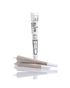 Joint Einzeln Diesel Weiss Light