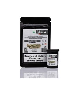 Blüten 2g Silver Haze Grau Maschinengeschnitten