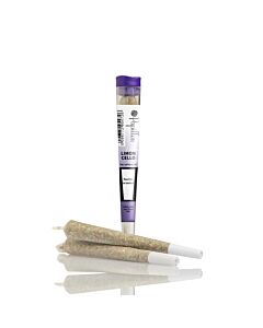 Joint Einzeln Limoncello Violett Papillon