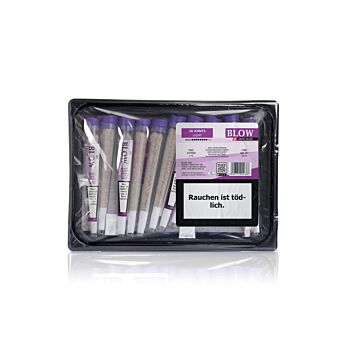 Joint 20er Packung Limoncello Violett Light