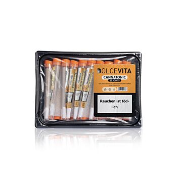 Joint 20er Schale Cannatonic Orange DOLCEVITA