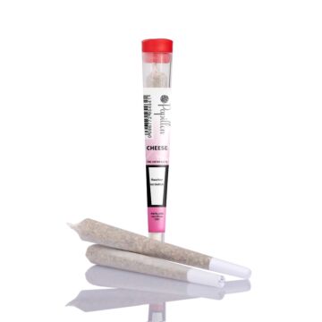 Joint Einzeln Cheese Rot Papillon